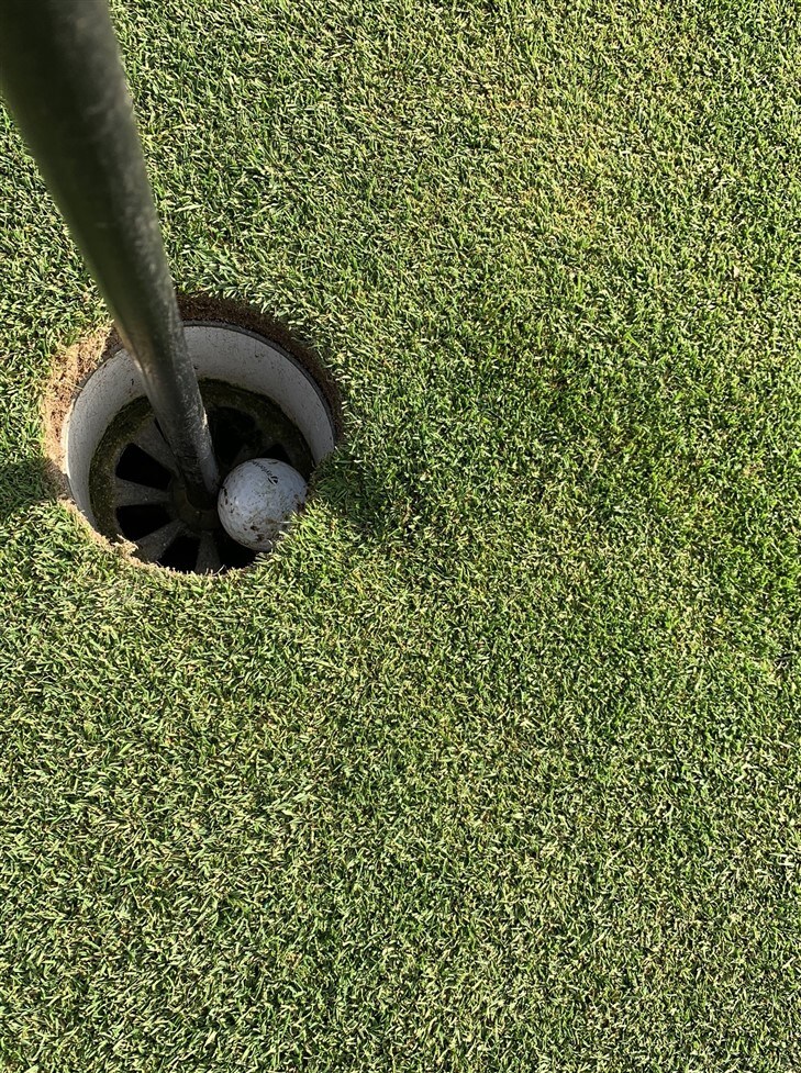 Hole in one Thornton